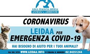 Emergenza Cani e Gatti legata a Covid19