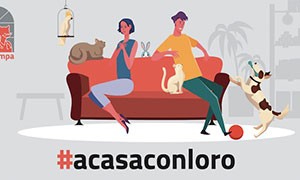 Campagna social  #acasaconloro amici a 4 zampe
