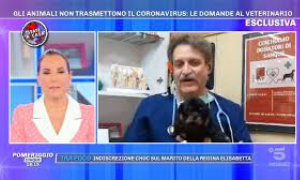 Non pulite le zampe con la candeggina ai cani