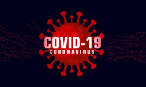 Bollettino Coronavirus 29 Marzo
