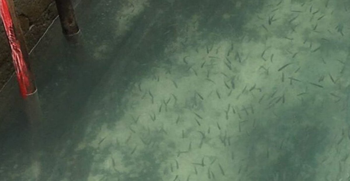Prossima Fermata