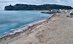 Poetto monitorato  e rimozione delle canne