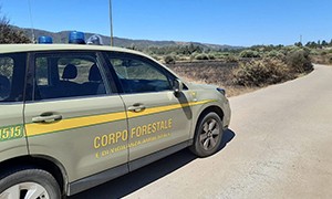 Corpo Forestale della Regione controlli  31 marzo