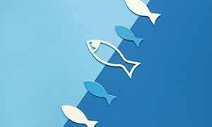 Buon Pesce dAprile!