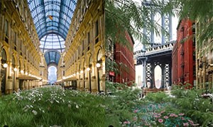 Madre natura si riprende il pianeta