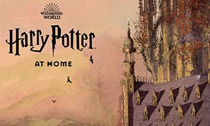 Harry Potter at Home, nuovo portale del maghetto