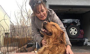 Il cane che consegna la spesa a casa