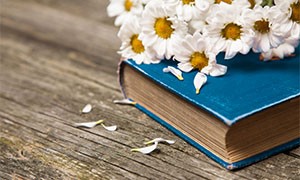 Un Mondo di Libri: le letture consigliate