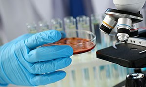 Primo vaccino supera fase test su topi laboratorio