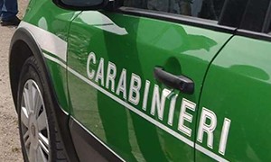Corpo Forestale della Regione controlli  03 aprile