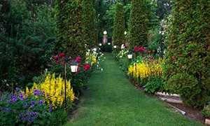 I tour virtuali dei Giardini Botanici del mondo