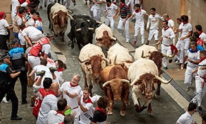 Coronavirus: Cancellati Corsa Tori e OktoberFest