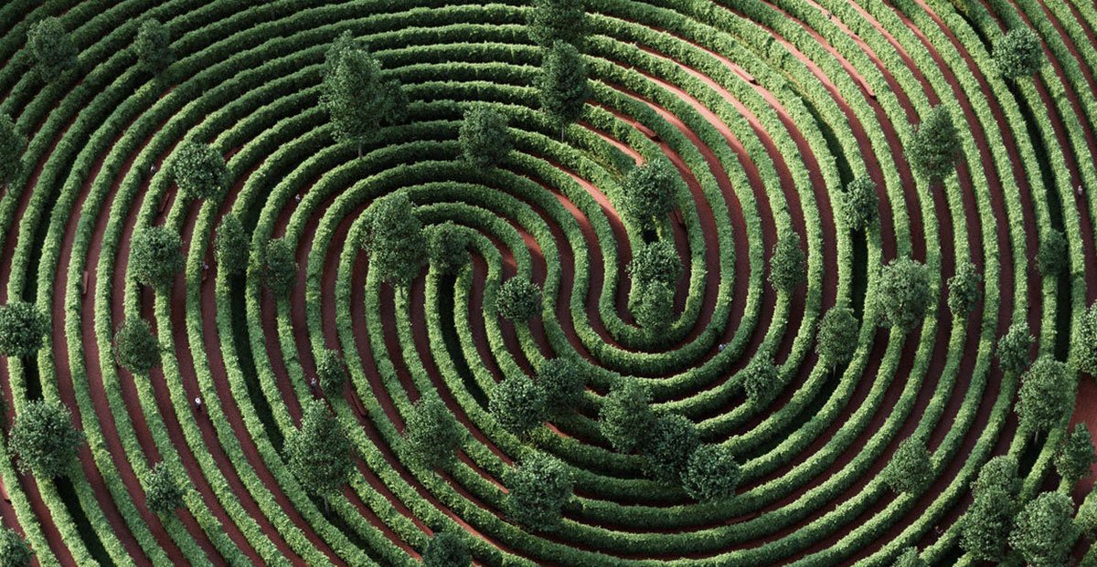 Prossima Fermata