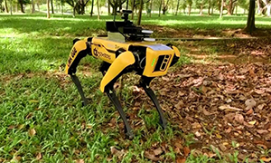 A Singapore arriva il cane robot contro gli assembramenti