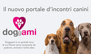 Doggami: come Tinder ma per gli amici a 4 zampe