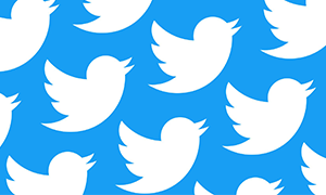 Nuova foto profilo Twitter o il social blocca l'account ma è una fake news