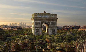 Roma, New York, Parigi come sarebbero le città con la natura che riprende gli spazi?