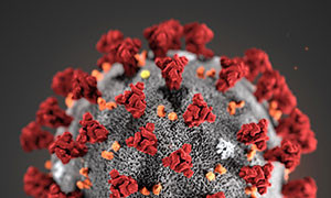 Bollettino Coronavirus Sardegna 12 giugno