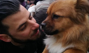 21 Giugno Festival di Yulin: cani e gatti al macello per il solstizio d'estate