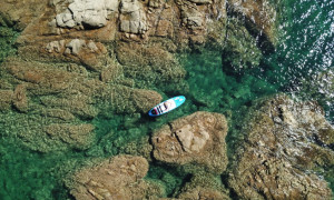 WWF Italia e WWF Travel con le marinerie di Porto Cesareo Puglia  e Sinis  Sardegna