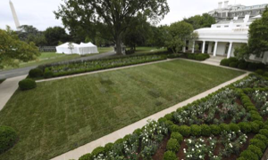 Melania Trump: Critiche per il giardino troppo freddo sembra un cimitero!