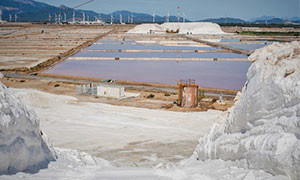 Festa della raccolta del Sale appuntamento alle  Saline Conti Vecchi