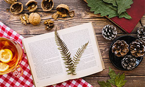 Inizia l' autunno e da Radio Sintony ecco i consigli sulle letture