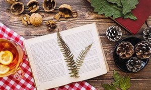Un mondo di Libri