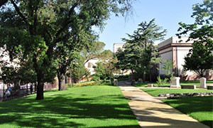 Il Museo Sanna di Sassari apre le porte del suo giardino