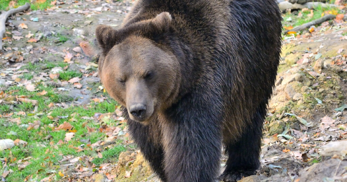 Prossima Fermata