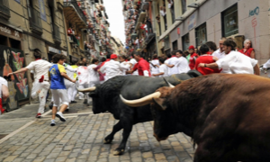 Il Parlamento Europeo non stanzier&agrave; pi&ugrave; fondi per la Corrida