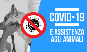 Animali. Dpcm anti-covid, online il vademecum oipa con tutte le informazioni utili