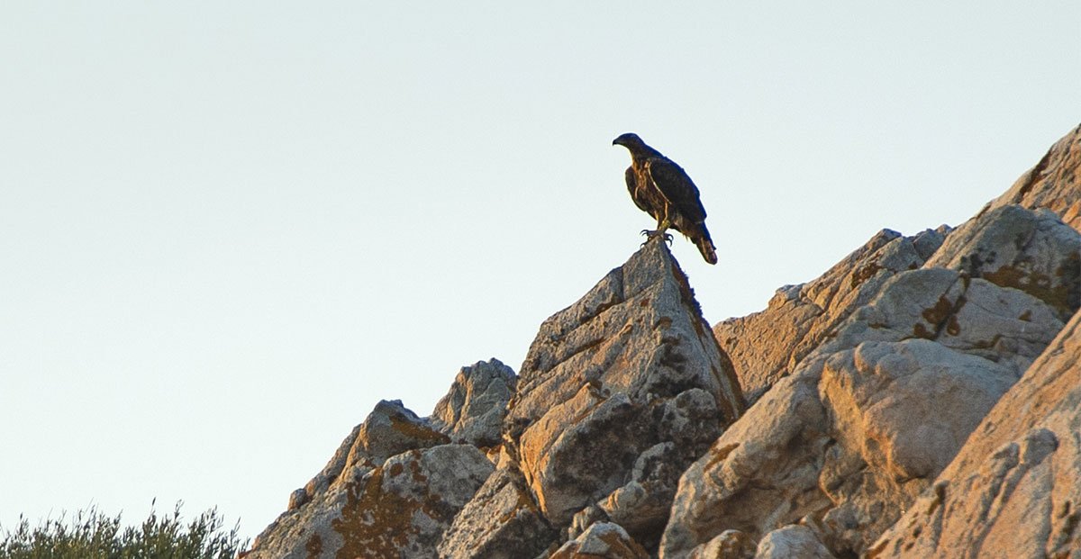 Prossima Fermata
