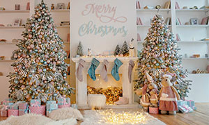 Natale nelle case dei VIP: ecco gli alberi postati