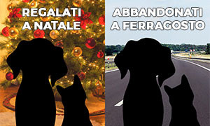 Appello dell&rsquo;oipa: &laquo;non comprate cuccioli da mettere sotto l&rsquo;albero&raquo;
