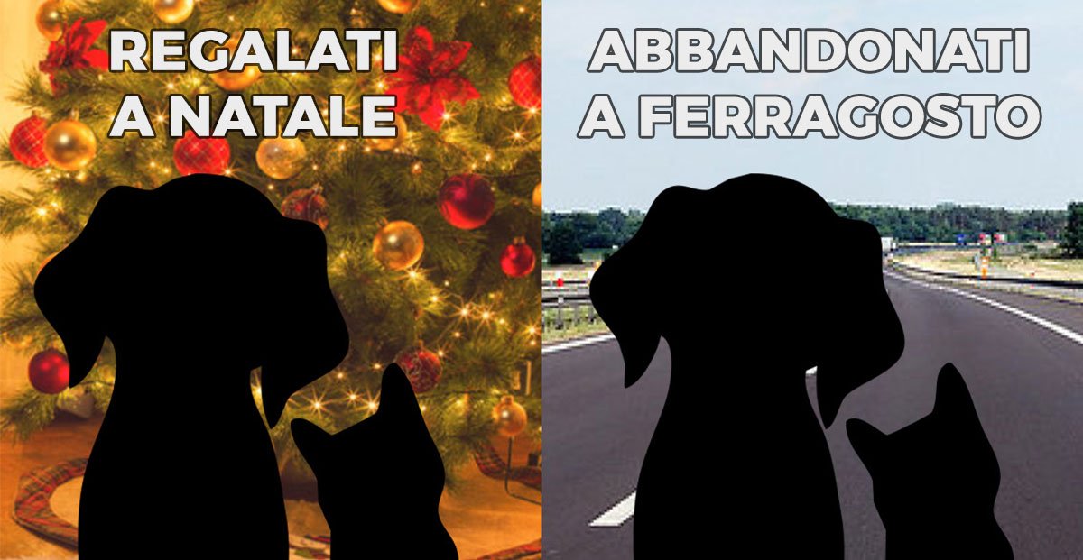 Prossima Fermata