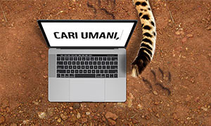Gli animali scrivono all'uomo: &quot;Per salvare il Clima dovete agire ora&quot;