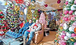 Coppia tedesca vive con 350 alberi di Natale in casa
