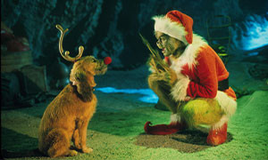 La storia di Max, il cane reso celebre dal film &ldquo;Il Grinch&rdquo;