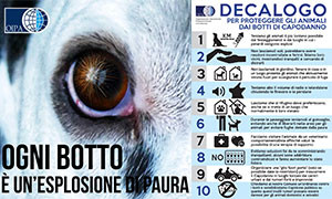 Botti di Capodanno, Il Covid Non Li Ferma. Il Decalogo Oipa Per Proteggere Cani E Gatti