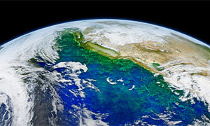 Una verit&agrave; immortalata dal Satellite da Venezia a NewYork: l'ambiente ringrazia il Lockdown