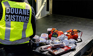 Effetto Brexit confiscati panini al prosciutto ad un camionista