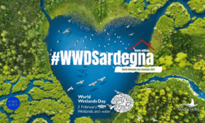 World Wetlands Day Sardegna 2021 Online  e in &ldquo;staycation&rdquo;