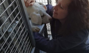Domenica di lutto per gli animalisti. Muore durante una "staffetta"  Betty Barbieri