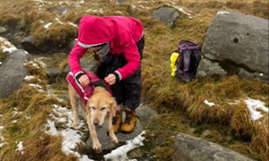 10 chilometri di cammino per salvare Noise, le immagini commuovono il web