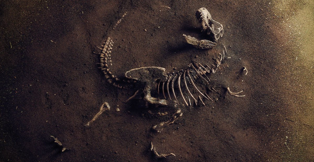Prossima Fermata