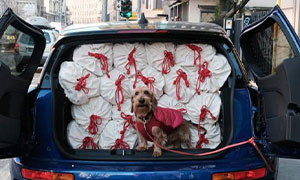 Poldo Dog Couture dona sacchi a pelo ai clochard e piumini ai loro cani
