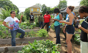 Atlanta ecco la frutta gratis per tutto il quartiere