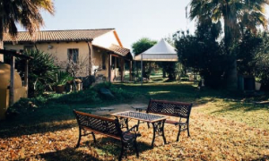 Costa 1 milione di euro la zona arancione ai 150 agriturismi sardi