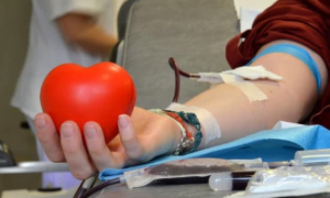 Coldiretti NU-OG. SOS Sangue: Sabato si pu&ograve; donare nei mercati di Campagna Amica